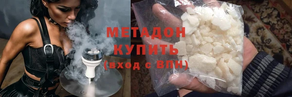 прущие грибы Кодинск