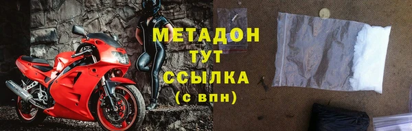 прущие грибы Кодинск
