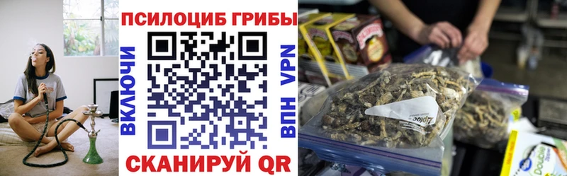 Псилоцибиновые грибы Psilocybe Лесной