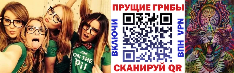 Псилоцибиновые грибы Magic Shrooms  Купить где  Лесной 