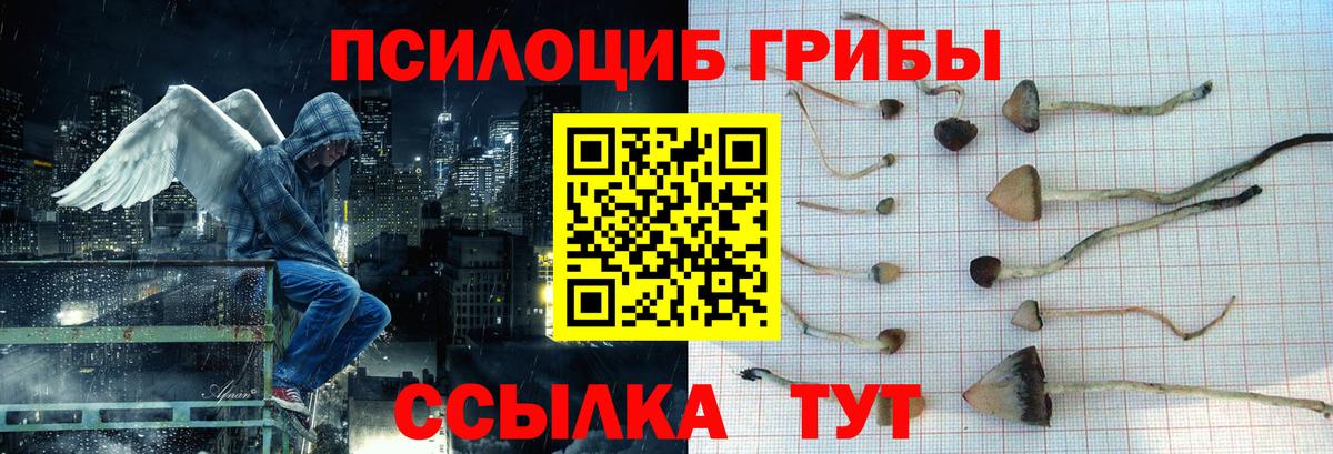 Лесной  Псилоцибиновые грибы GOLDEN TEACHER  Галлюциногенные грибы прущие грибы  Вход с VPN 