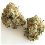 Шишки "White Widow"  (Белая вдова)  Гидропоника -  Бошка VHQ в Лесном